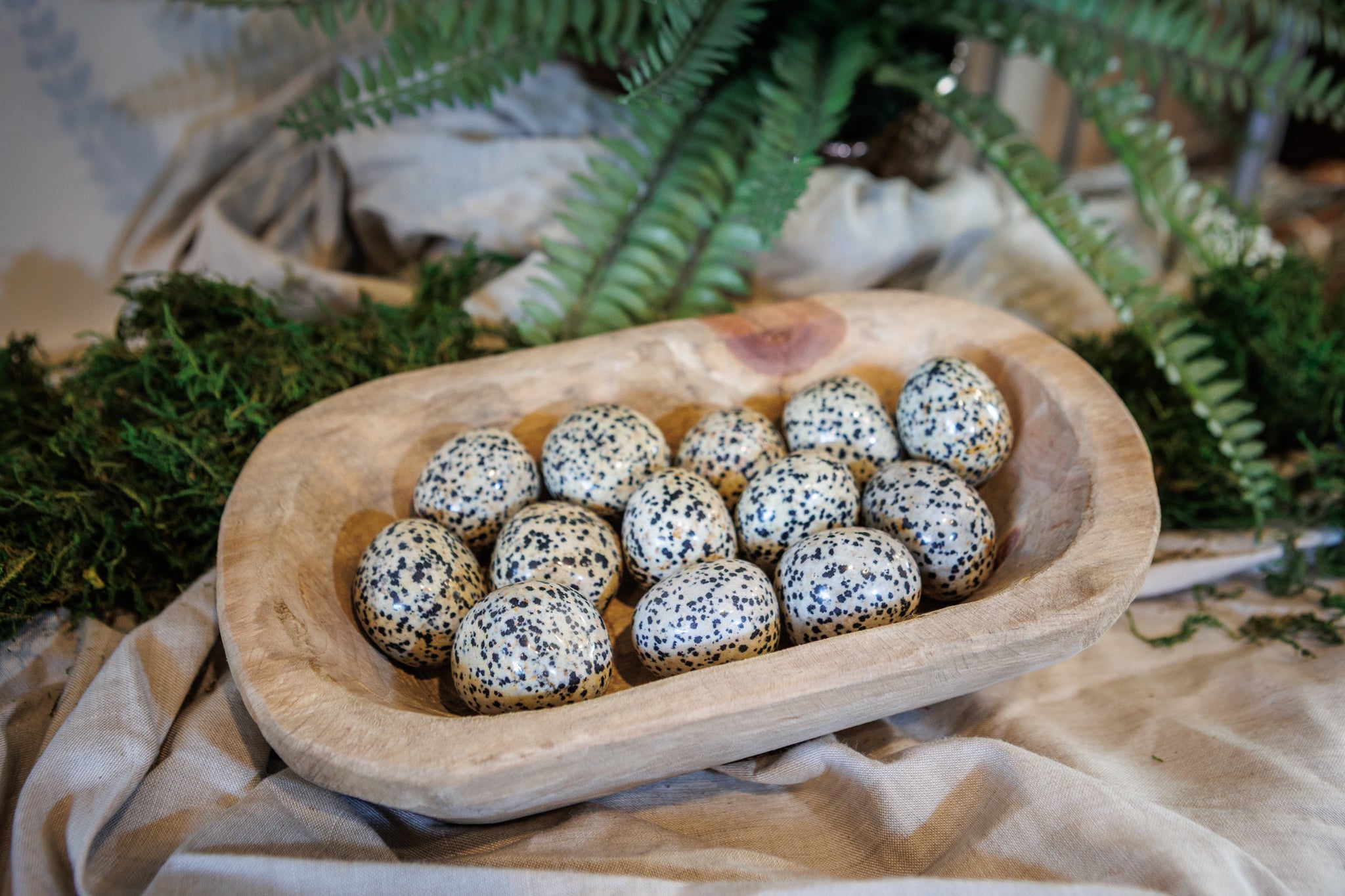 Dalmatian Jasper Tumbled